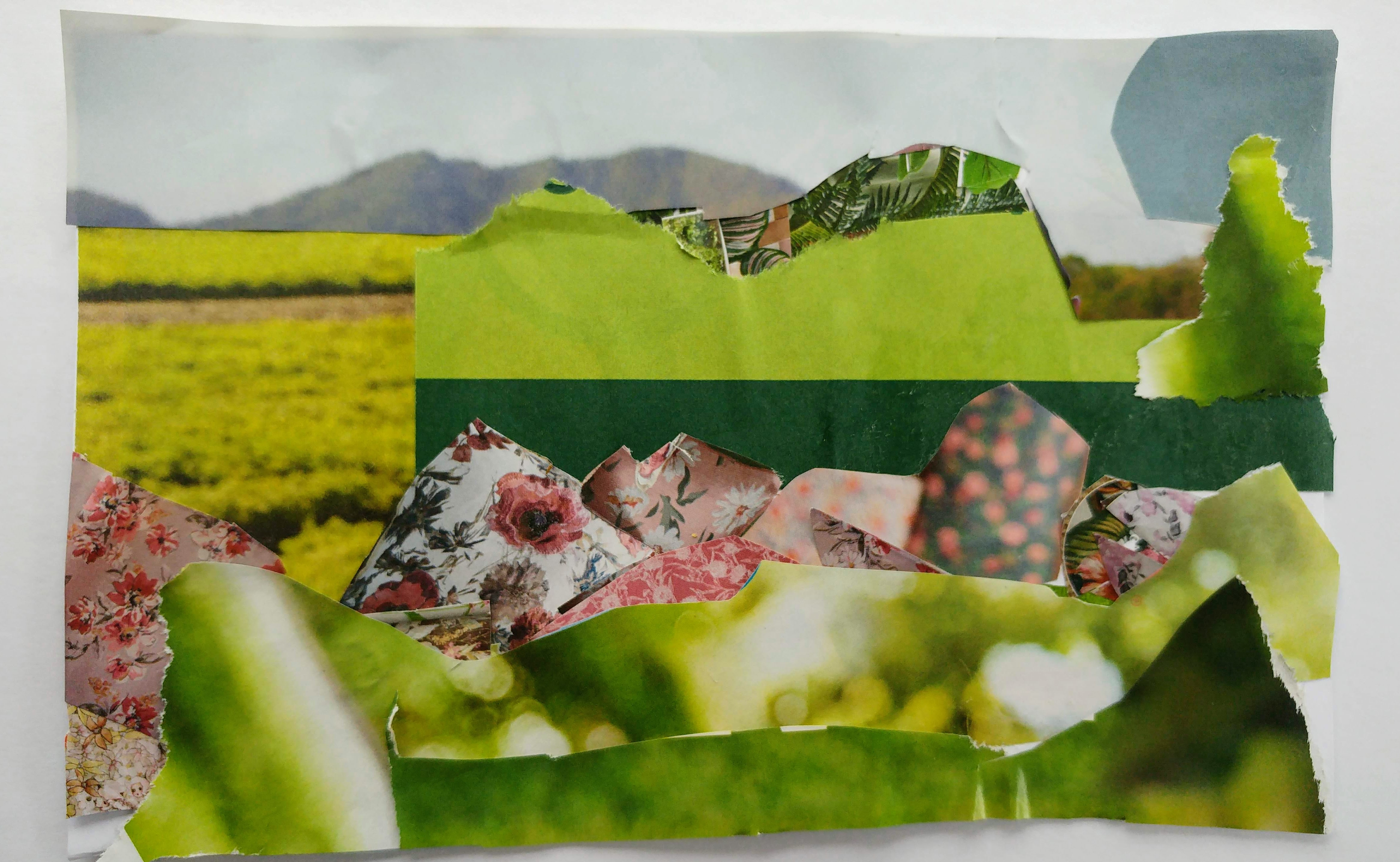 /uploaded_files/media/gallery/1632394311Harriet's Collage 5S.jpg